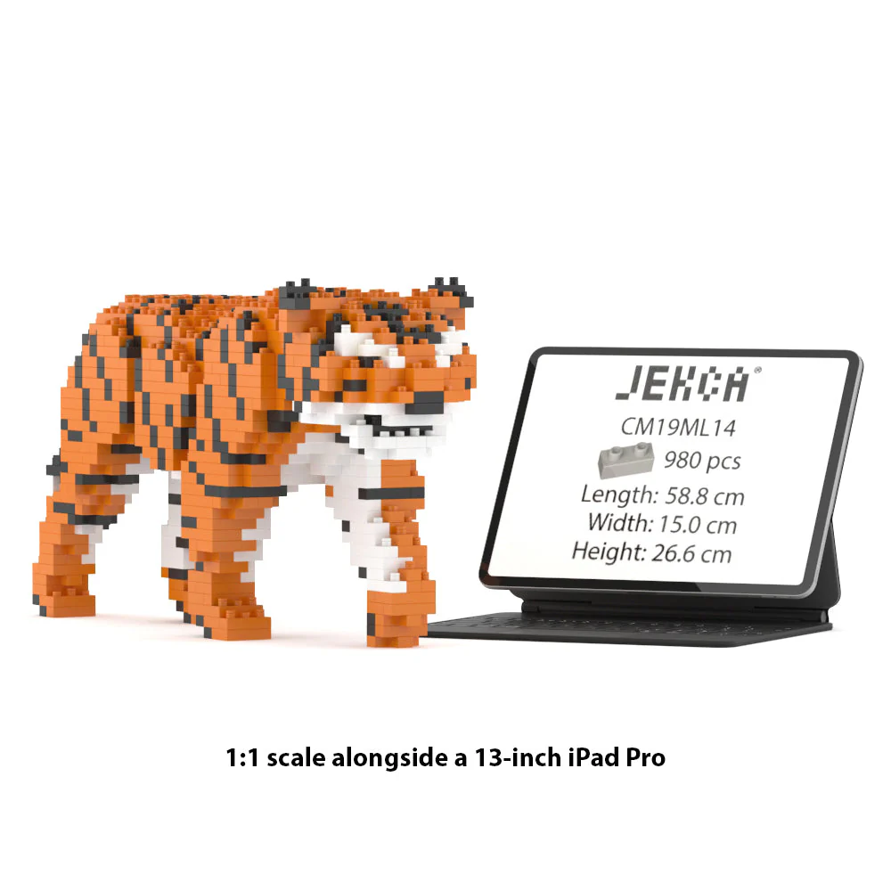 Tigre – Image 6