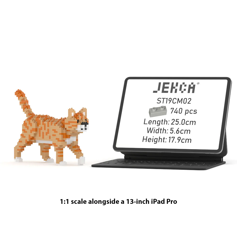 Mini Chat Tigré roux – Image 3