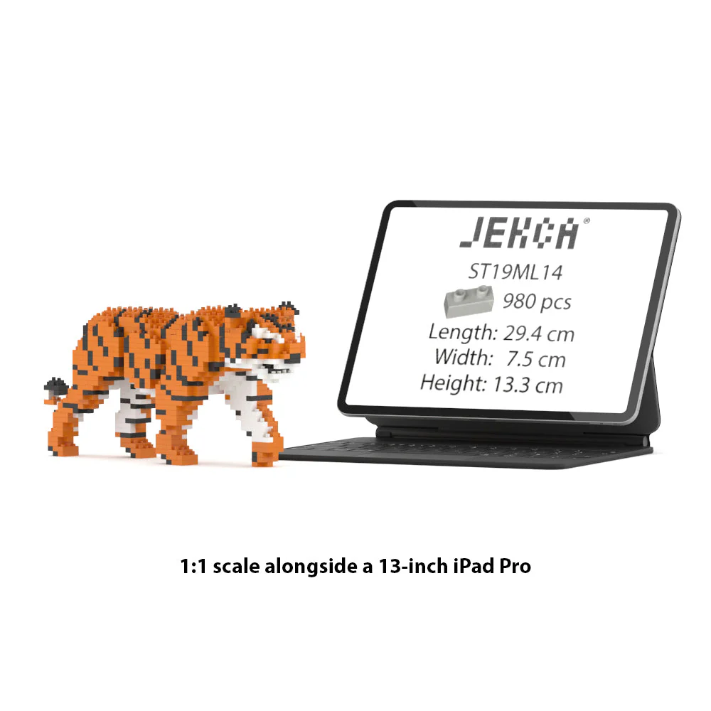 Tigre – Image 3