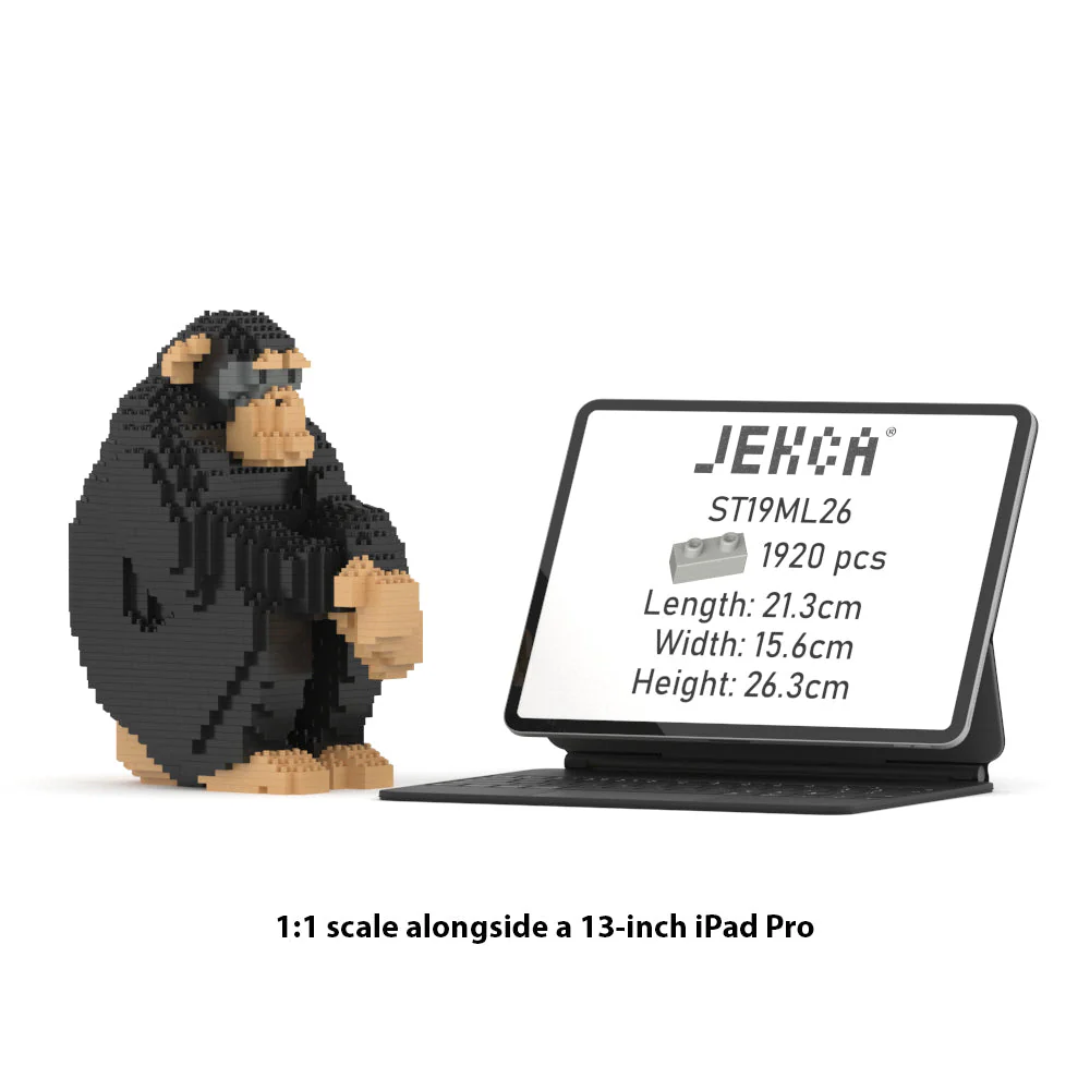 Chimpanzé – Image 3